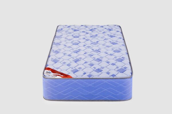 COLCHON GANI 1 PZA ESPUMA AIR FLEX 22CM