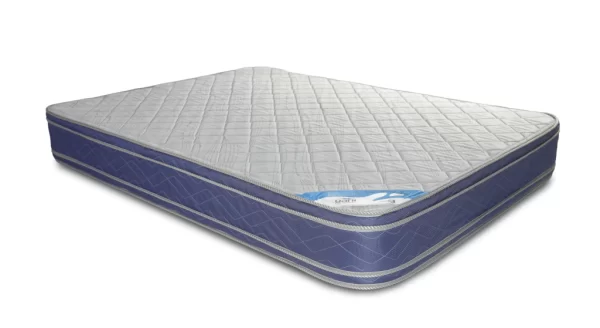 COLCHON GANI 2 PZA RESORTE  BLUE SPRING 75 KG