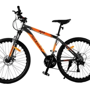 BICI ROD 29 EXTREME CUADRO METALICO