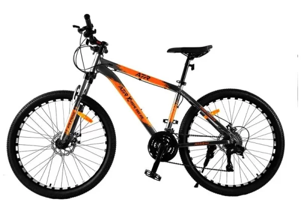 BICI ROD 29 EXTREME CUADRO METALICO